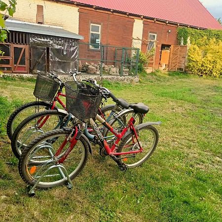 Malinowy Gaj - Agroturystyka Z Alpakami I Innymi Zwierzetami Swietajno  Exteriör bild