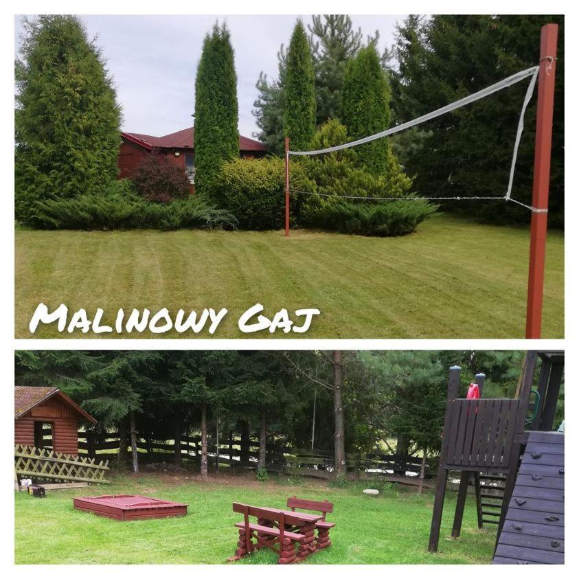 Malinowy Gaj - Agroturystyka Z Alpakami I Innymi Zwierzetami Swietajno  Exteriör bild