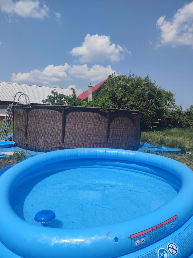 Malinowy Gaj - Agroturystyka Z Alpakami I Innymi Zwierzetami Swietajno  Exteriör bild