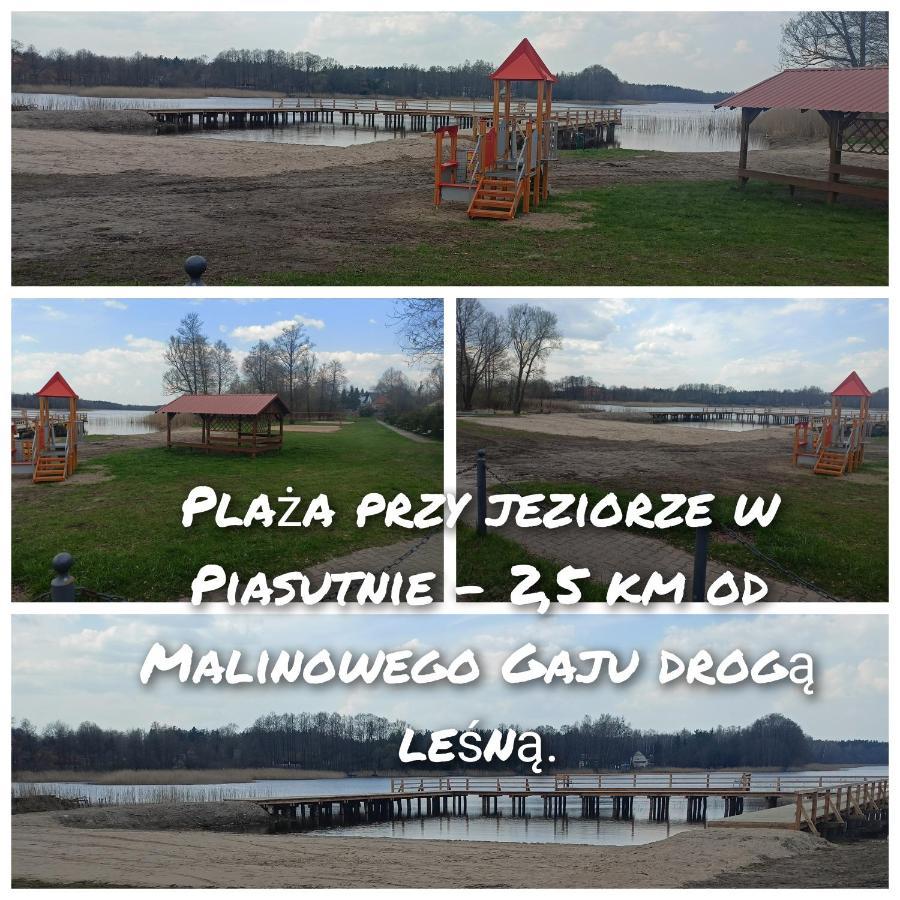 Malinowy Gaj - Agroturystyka Z Alpakami I Innymi Zwierzetami Swietajno  Exteriör bild