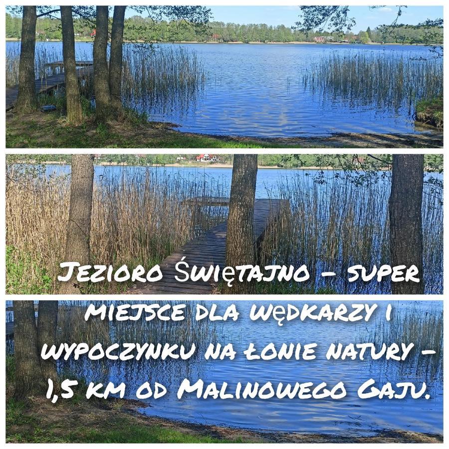 Malinowy Gaj - Agroturystyka Z Alpakami I Innymi Zwierzetami Swietajno  Exteriör bild