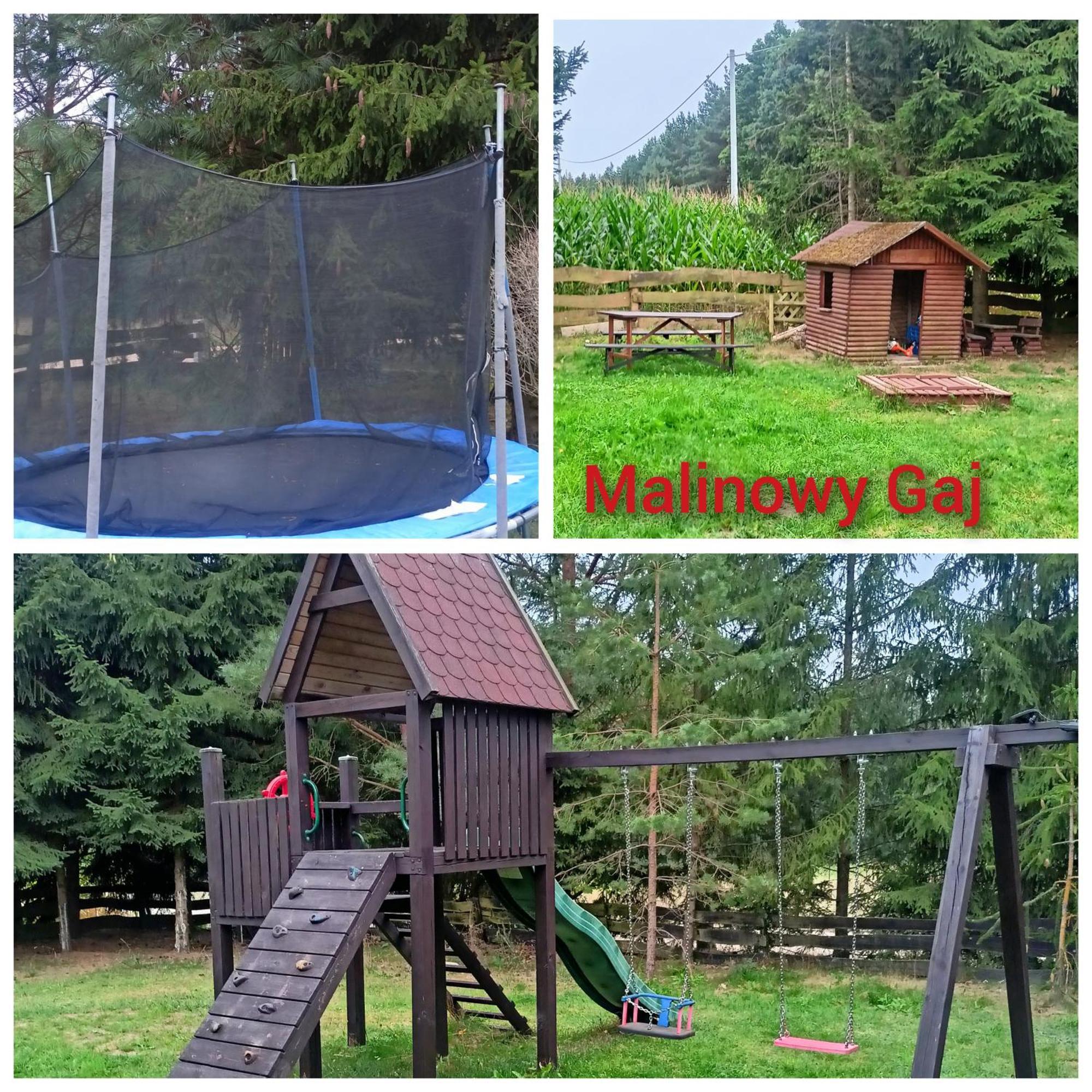 Malinowy Gaj - Agroturystyka Z Alpakami I Innymi Zwierzetami Swietajno  Exteriör bild