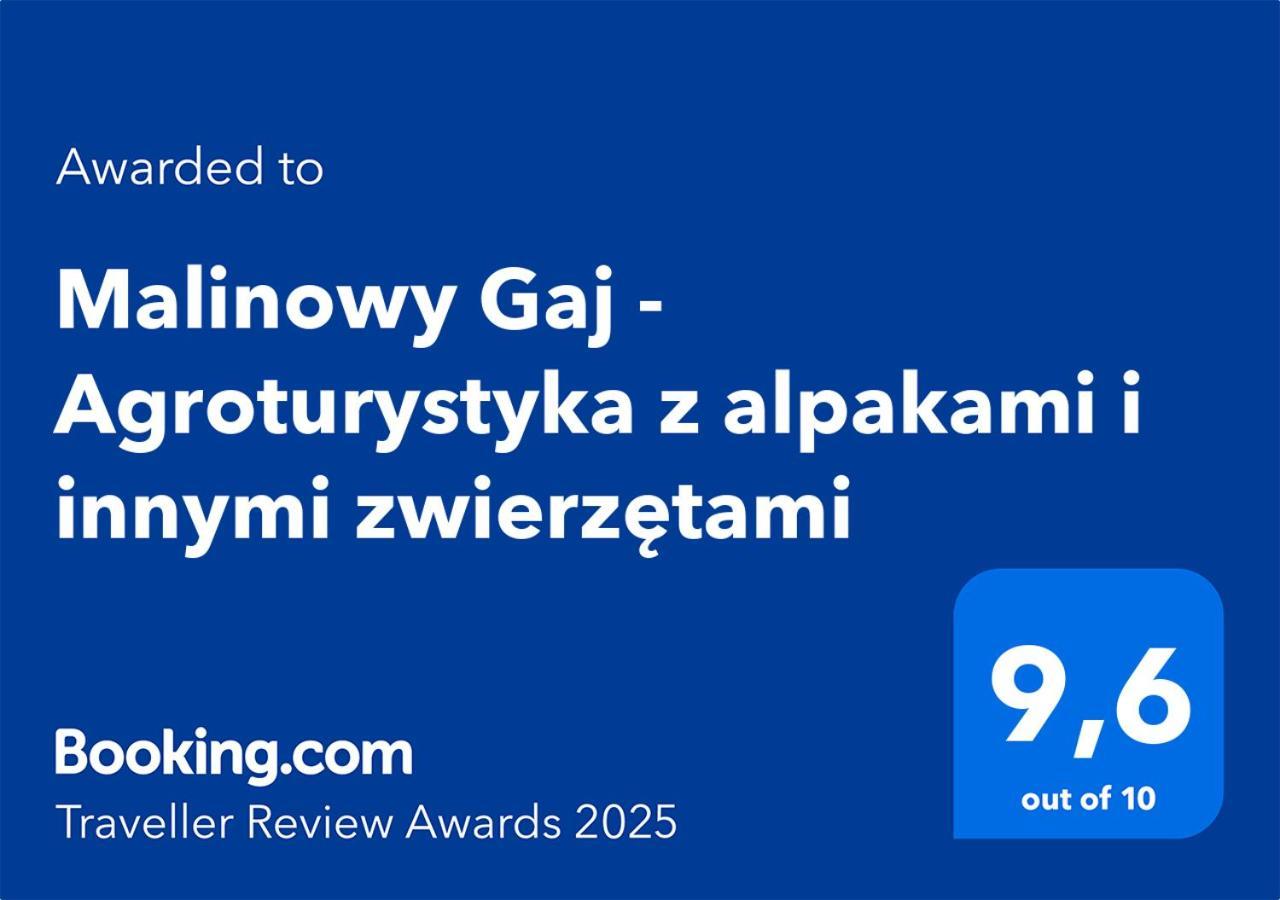 Malinowy Gaj - Agroturystyka Z Alpakami I Innymi Zwierzetami Swietajno  Exteriör bild